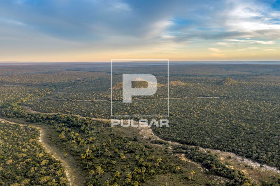 Vereda Santa Rita no primerio plano e Morros Três Irmãos ao fundo - Parque Nacional Grande Sertão Veredas