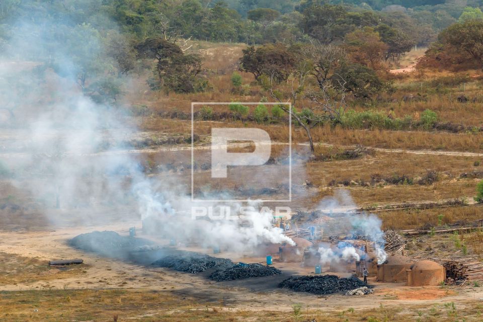 Carvoaria com fornos produzindo carvão vegetal em área desmatada do bioma cerrado