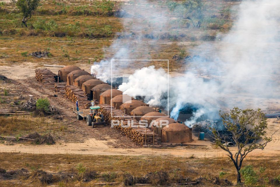 Carvoaria com fornos produzindo carvão vegetal em área desmatada do bioma cerrado