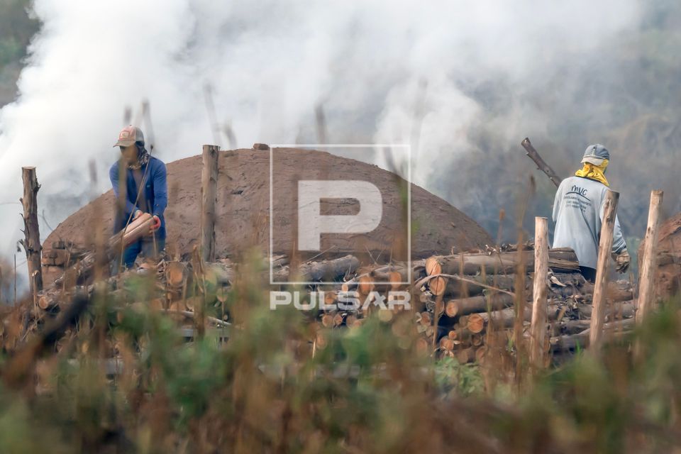 Carvoaria com fornos produzindo carvão vegetal em área desmatada do bioma cerrado