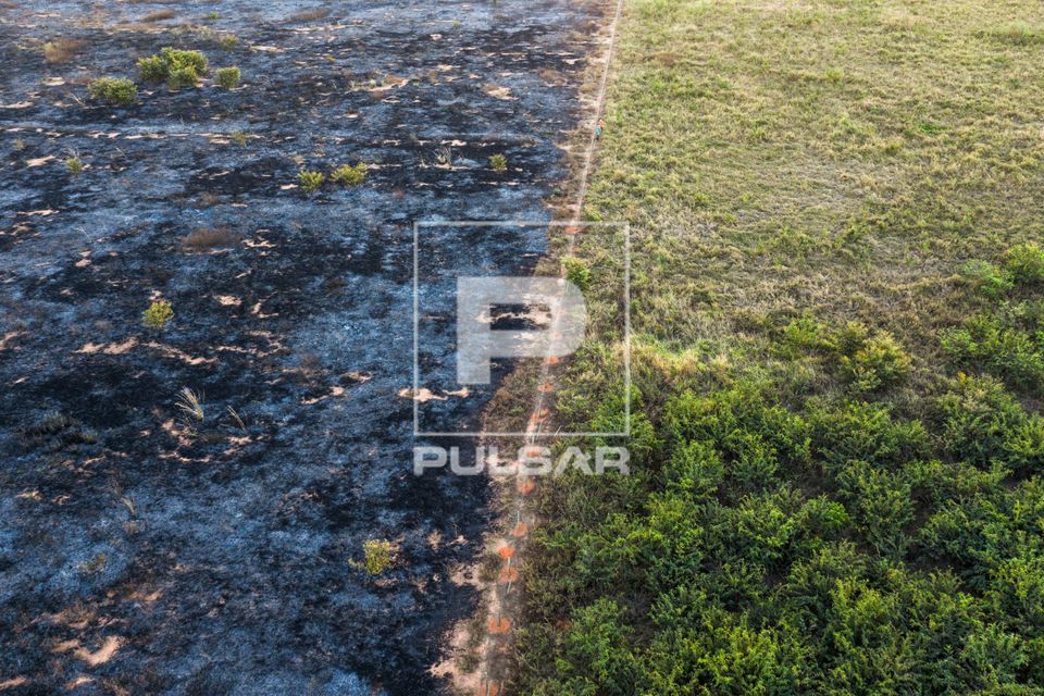 Prevfogo e MIF Manejo Integrado do Fogo IBAMA - aceiro negro - queima prescrita para prevenir incêndios flore
