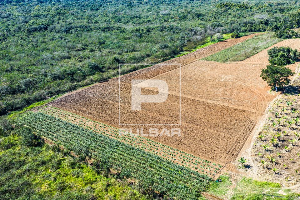 Vista de drone de área de cultivo agrícola junto a área remanescente de Mata Atlântica — bacia do Rio Pa