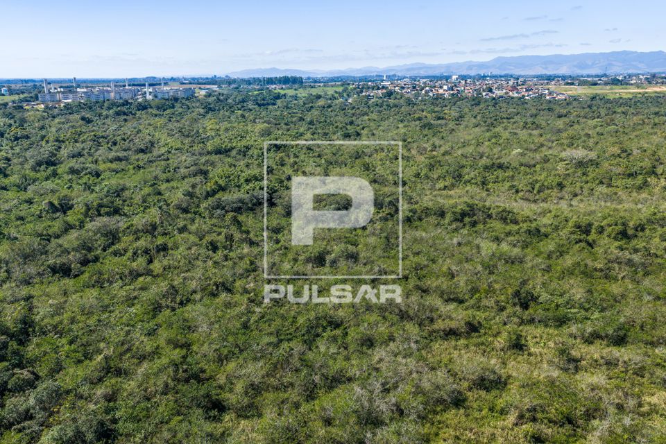 Vista de drone de área remanescente de Mata Atlântica - Vale do Paraíba