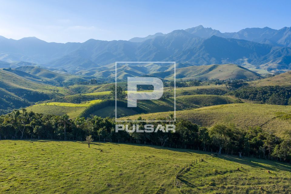 Vista de drone de fragmento de restauração florestal em APP Área de Preservação Permanente entre áreas d