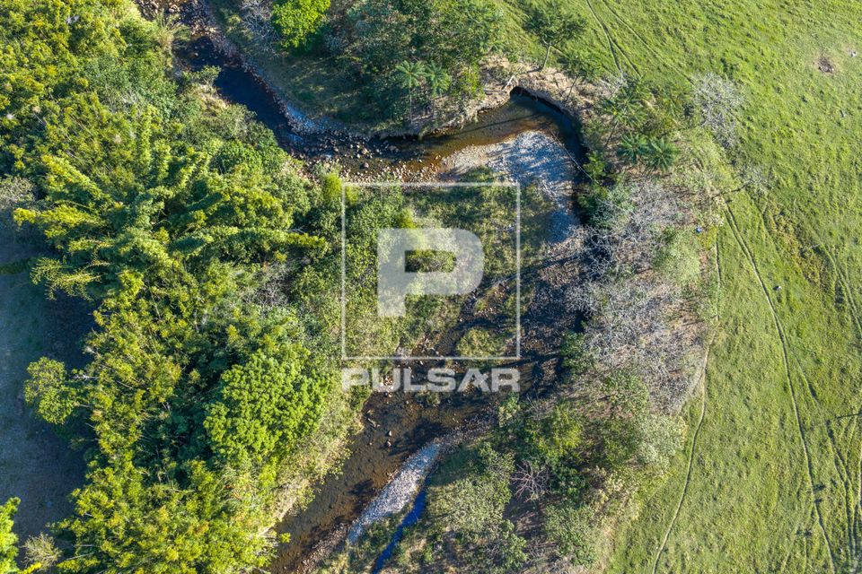 Vista de drone de fragmento de restauração florestal em APP Área de Preservação Permanente entre áreas d