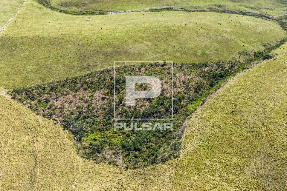 Vista de drone de área de restauração florestal entre áreas de pastagem aos pés da Serra da Mantiqueira