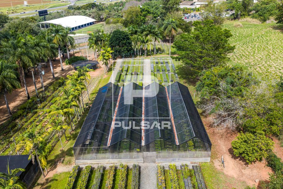 Vista de drone do viveiro de mudas de espécies nativas da Mata Atlântica na unidade Embrapa Meio Ambiente