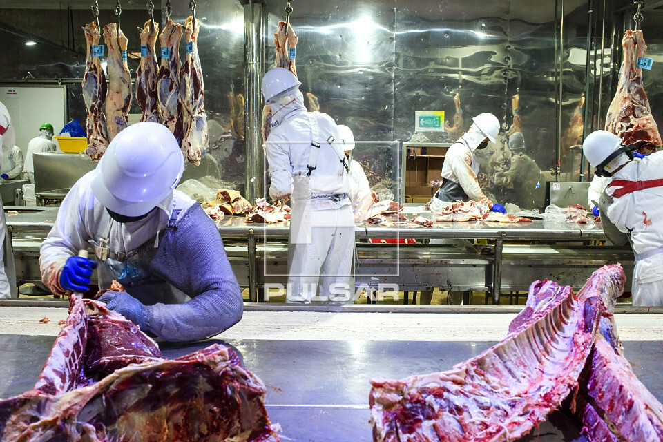 Linha de desossa de gado em frigorífico