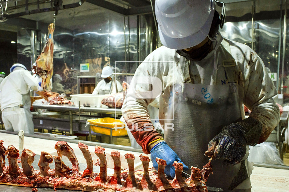 Linha de desossa de gado em frigorífico