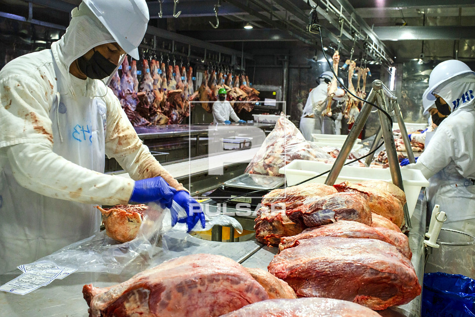 Linha de cortes de carne de gado em frigorífico