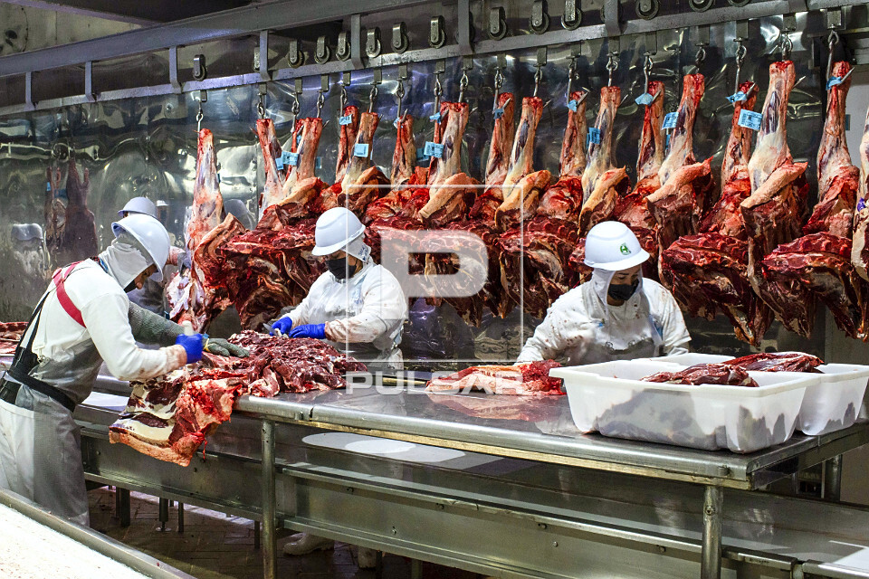 Linha de desossa de gado em frigorífico