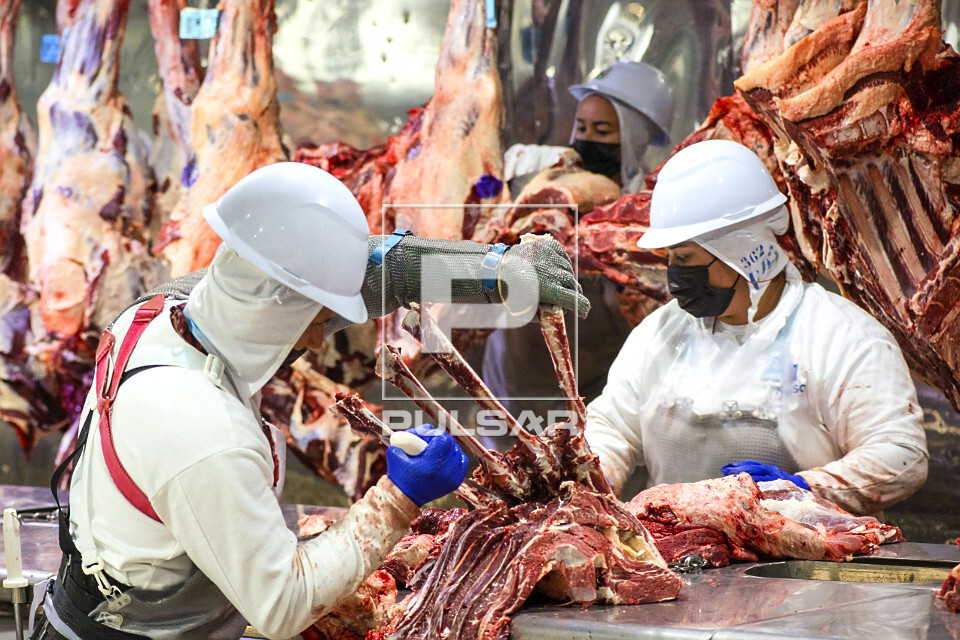 Linha de desossa de gado em frigorífico
