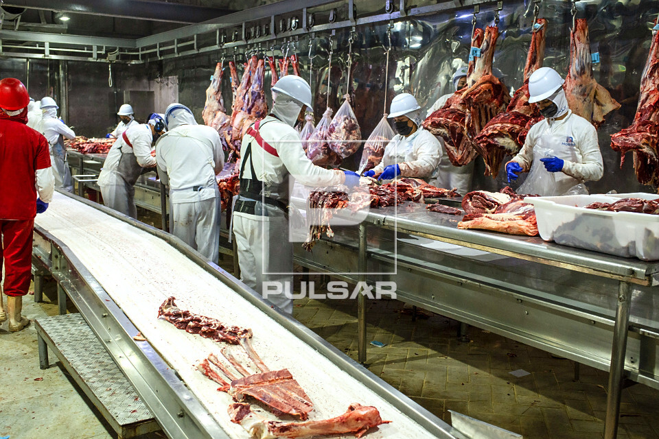Linha de desossa de gado em frigorífico