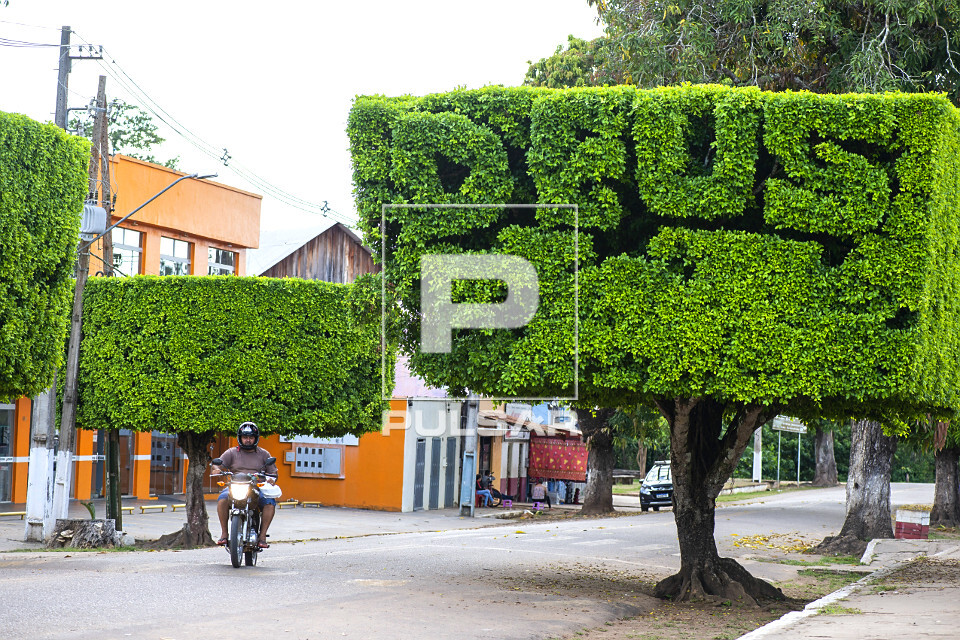Arvores recortadas formando a palavra Deus