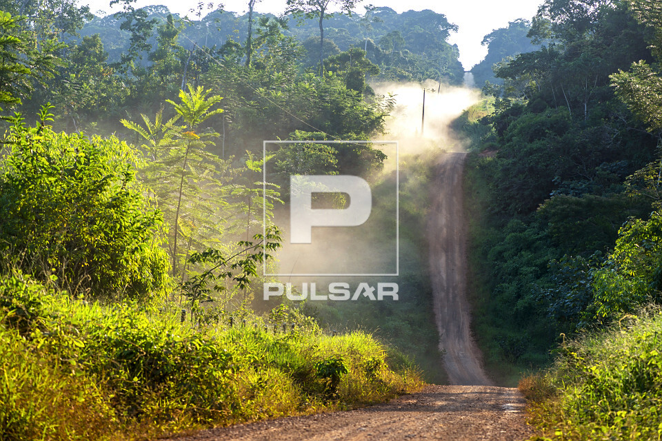 Estrada de terra em meio a floresta amazônica