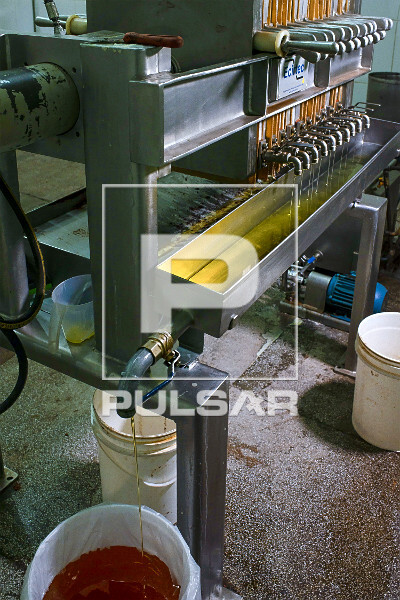 Prensa produzindo manteiga de cupuaçu