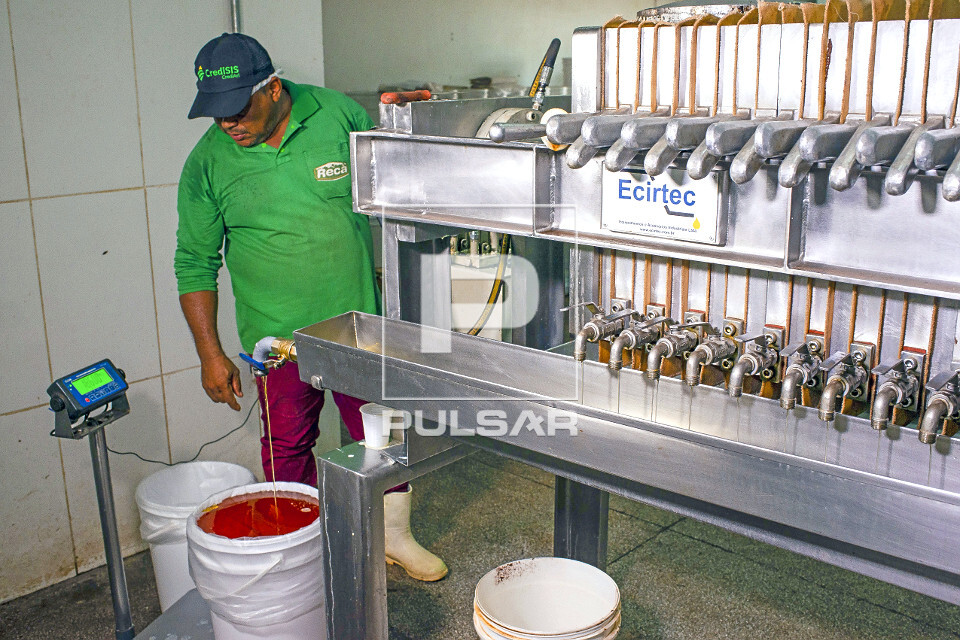 Prensa produzindo manteiga de cupuaçu