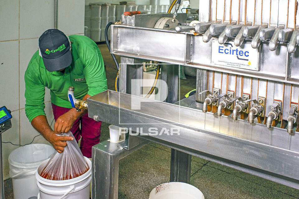 Prensa produzindo manteiga de cupuaçu