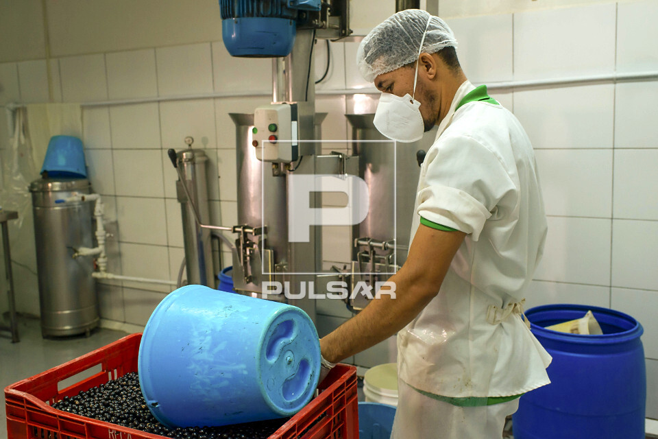 Trabalhador abastecendo despolpadeira com açaí para produção de polpa