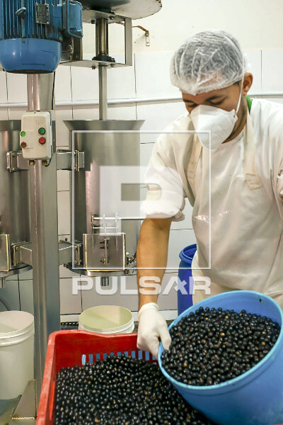 Trabalhador abastecendo despolpadeira com açaí para produção de polpa