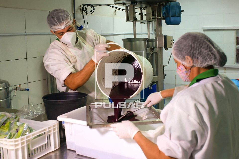Trabalhador peneirando polpa de açaí
