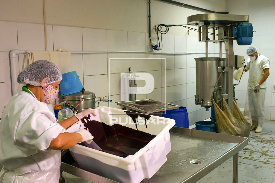 Trabalhadores em fábrica de polpa de açaí