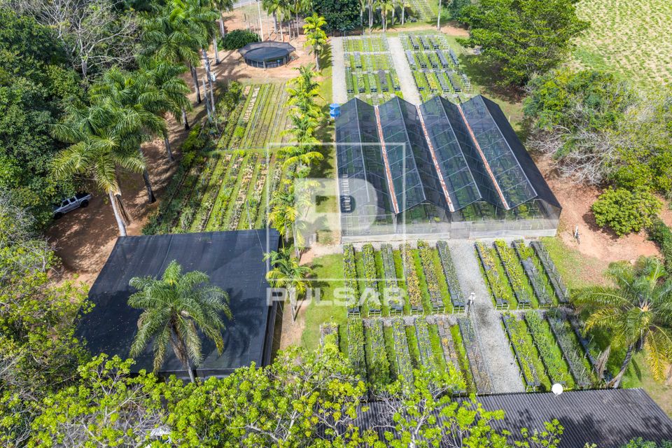 Vista de drone do viveiro de mudas de espécies nativas da Mata Atlântica na unidade Embrapa Meio Ambiente