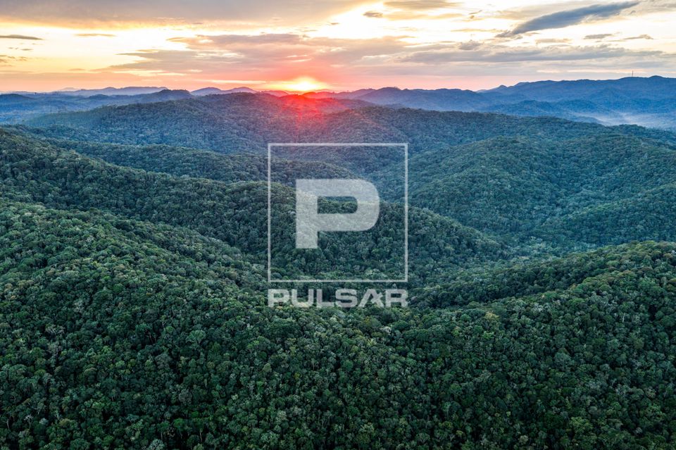 Vista de drone do Parque Estadual Serra do Mar – Núcleo Padre Dória