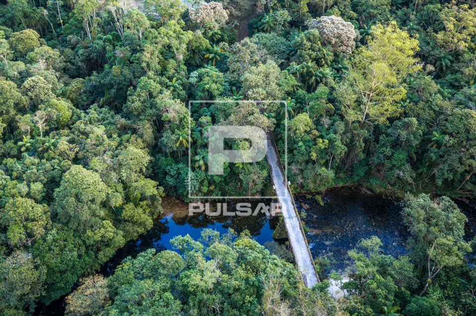 Ponte sobre o rio Itatinga e mata ciliar - Parque das Neblinas - Instituto Ecofuturo