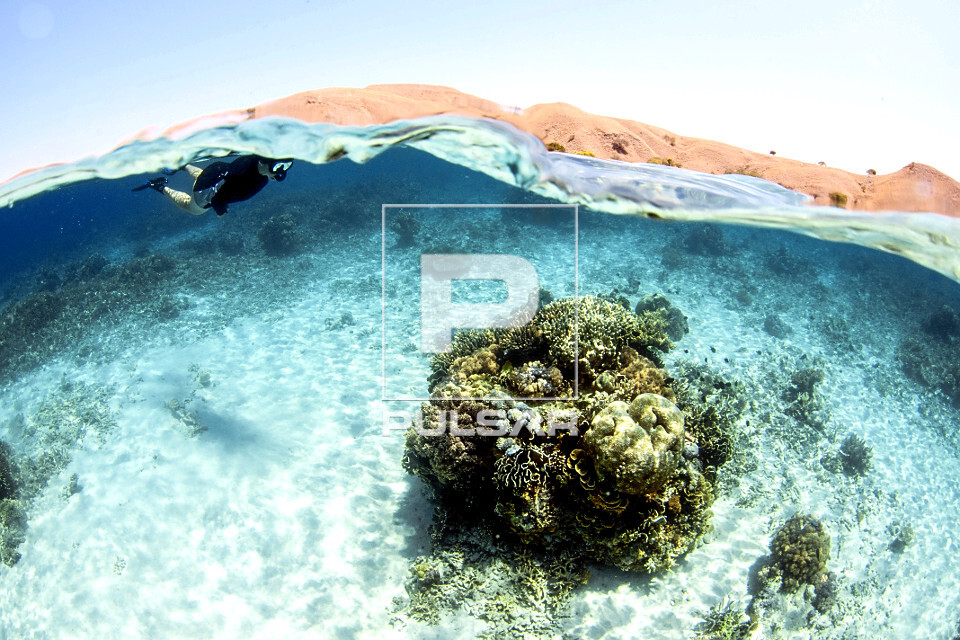 Mergulhadora observa os corais da Ilha de Komodo - Parque Nacional de Komodo - 