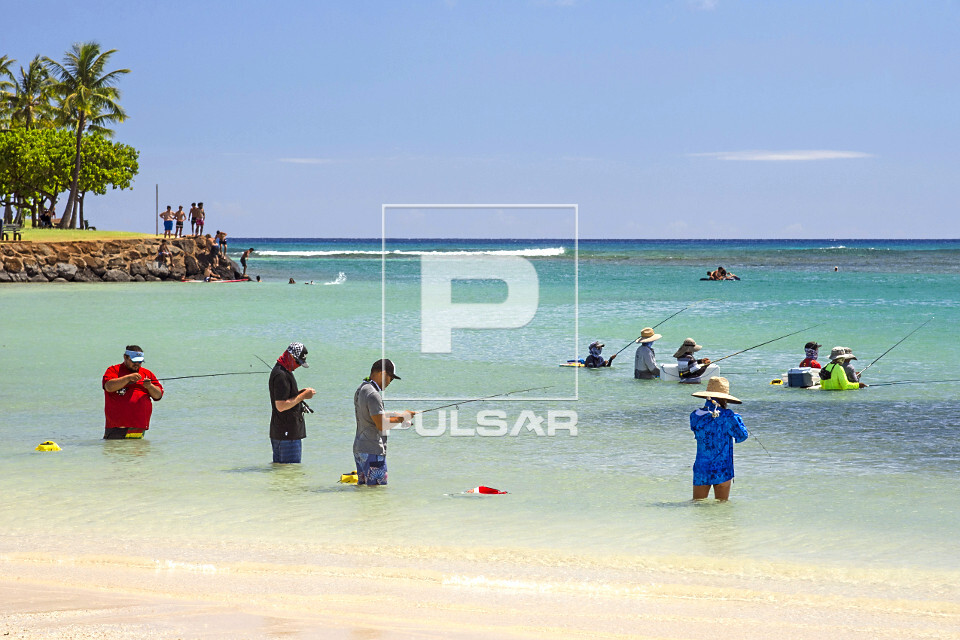 Tradicional pesca de verão na praia Ala Moana - ilha de Oahu - Havaí - 