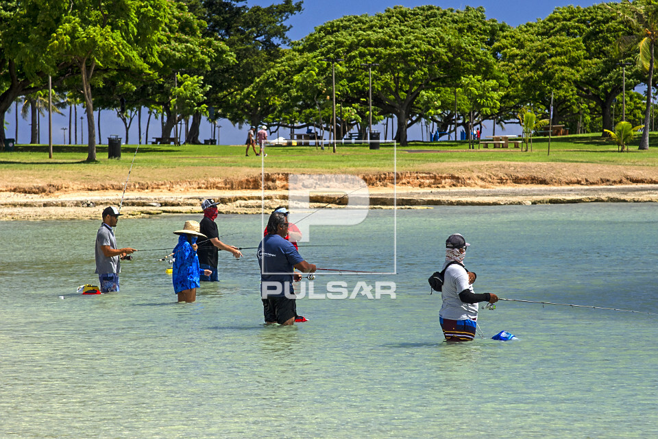 Tradicional pesca de verão na praia Ala Moana - ilha de Oahu - Havaí - 