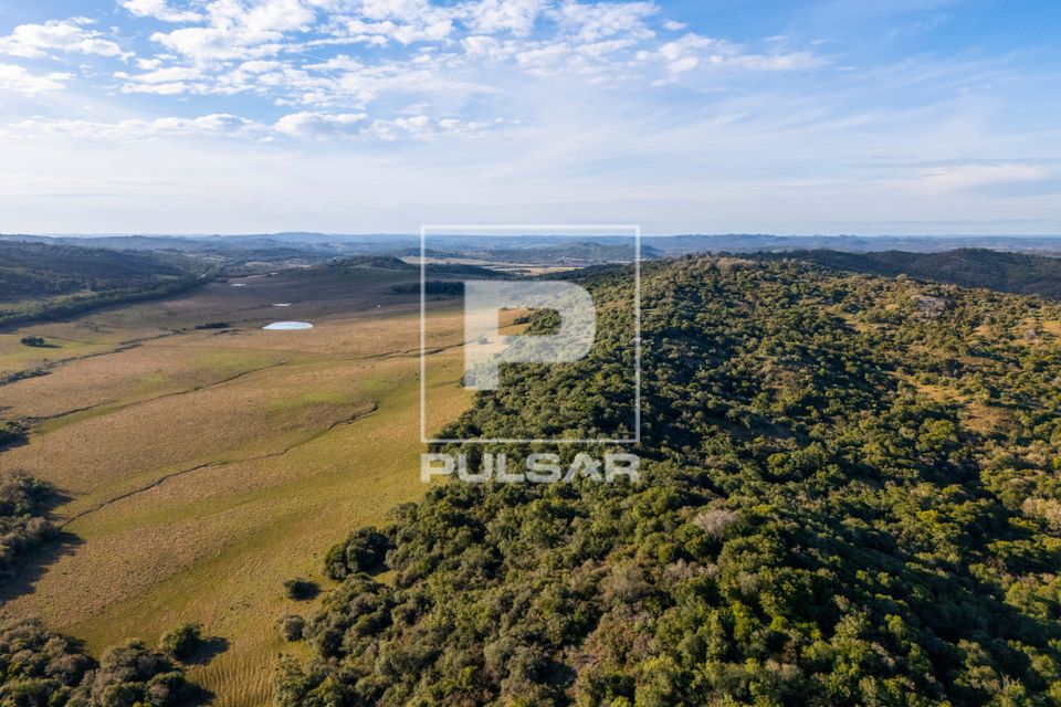 Vista de drone de arbustos , campos com gramíneas e coxilhas no Pampa