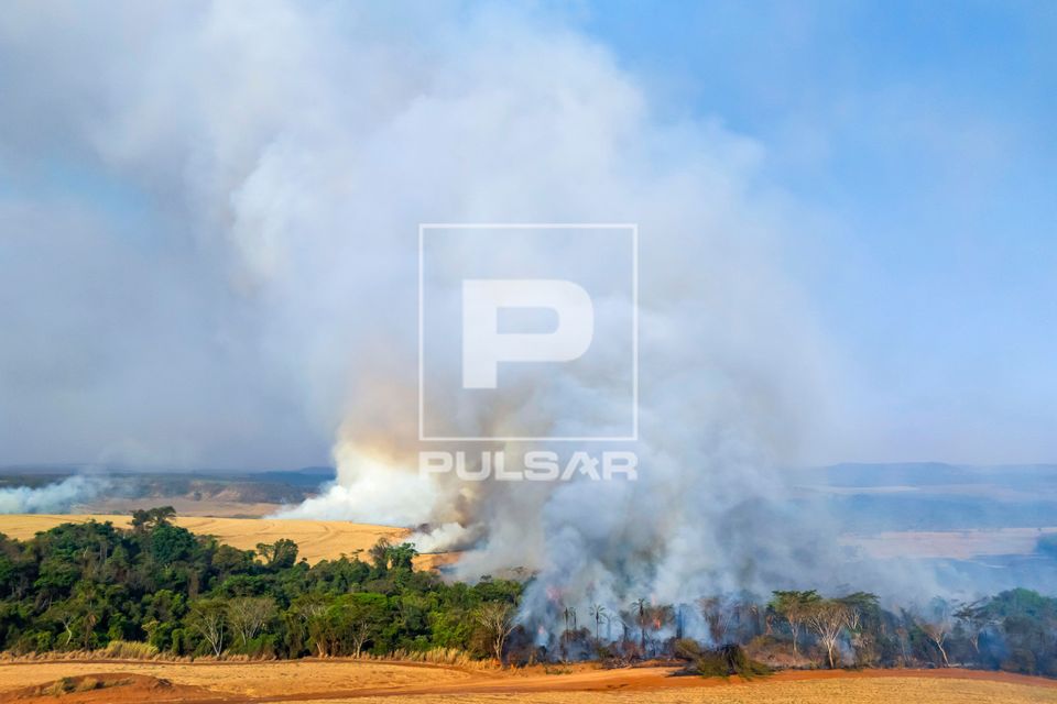 Incêndio florestal no bioma Cerrado no período de estiagem ao lado de propriedade rural - Triângulo Mineiro