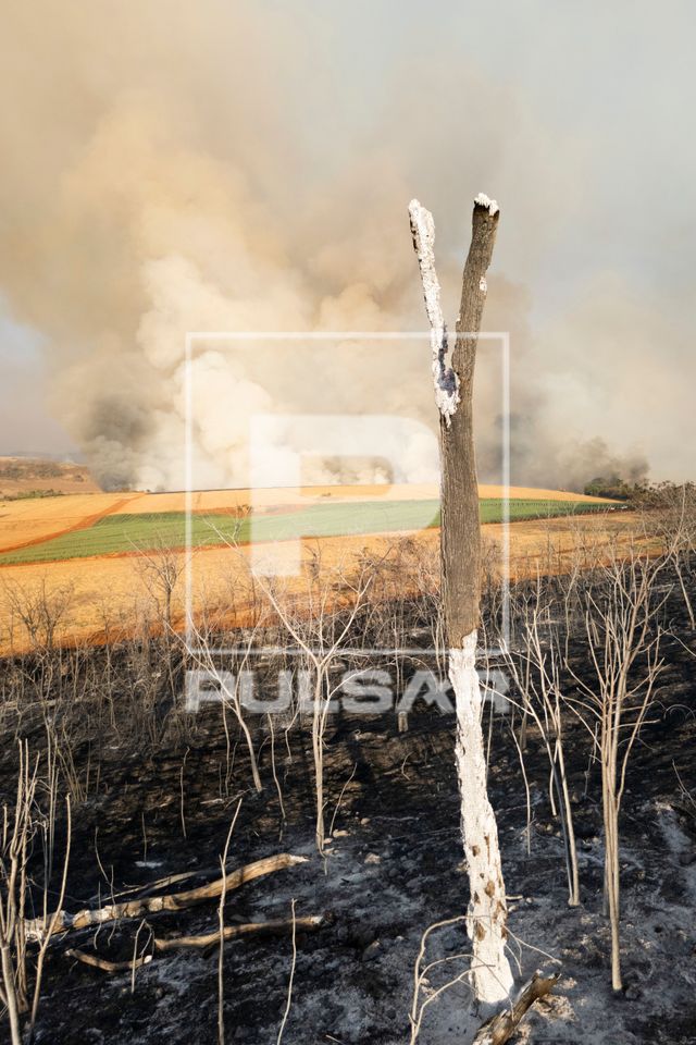Área de cerrado após incêndio florestal no período de estiagem e ao fundo incêndio em canavial