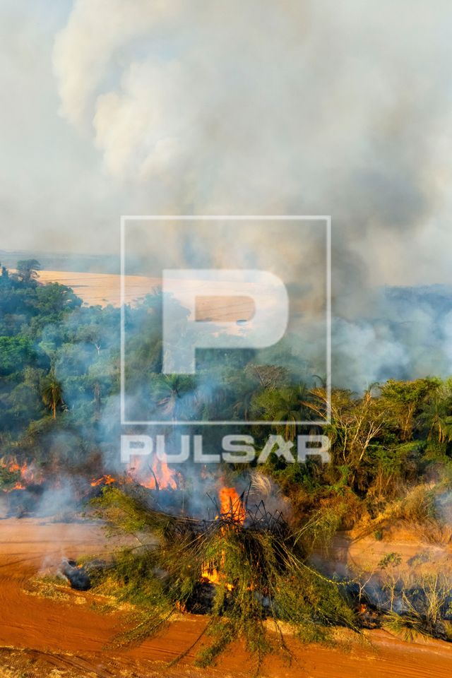 Incêndio florestal no bioma cerrado atingindo propriedade rural - período de estiagem - Triângulo Mineiro