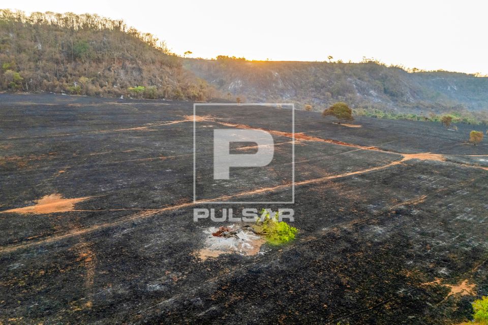 Plantação e mata nativa queimados após incêndio florestal durante a estiagem