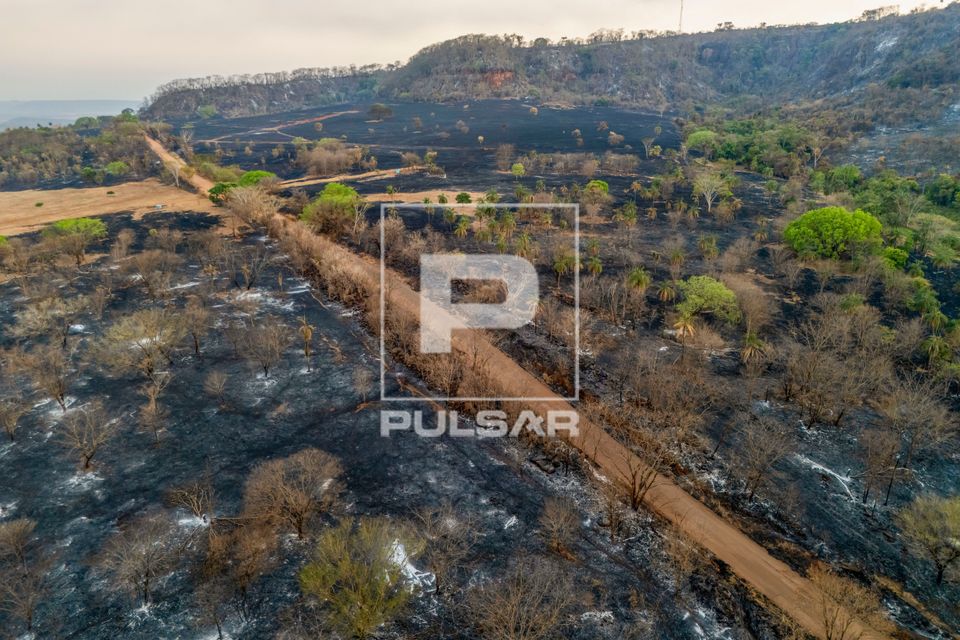 Plantação e mata nativa queimados após incêndio florestal durante a estiagem