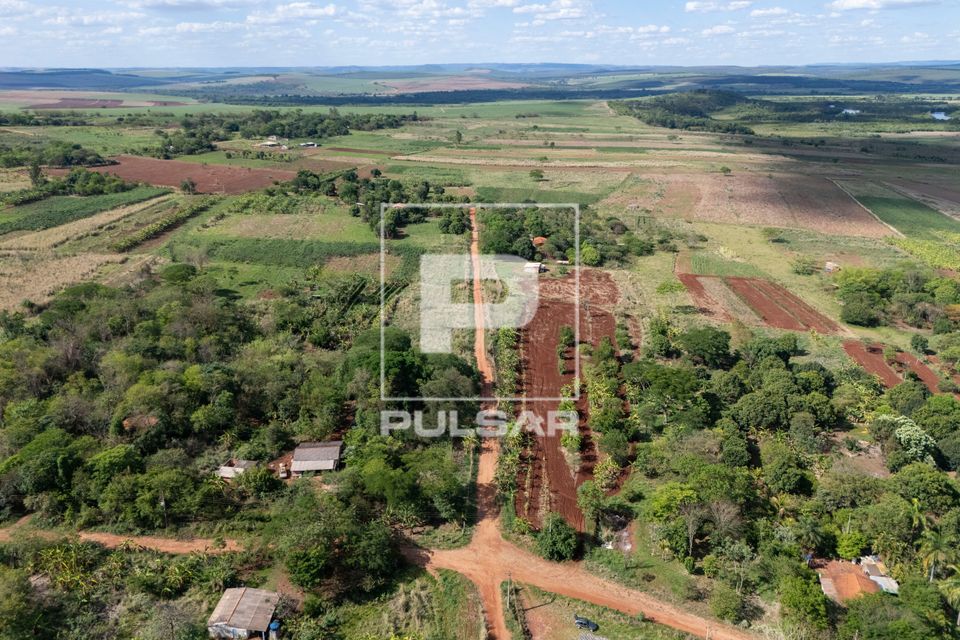 Plantação no sistema agroflorestal - Assentamento Sepé Tiaraju