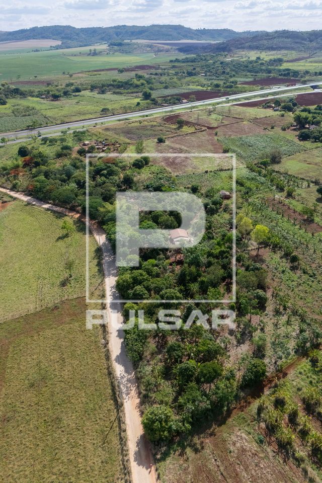 Plantação no sistema agroflorestal - Assentamento Sepé Tiaraju