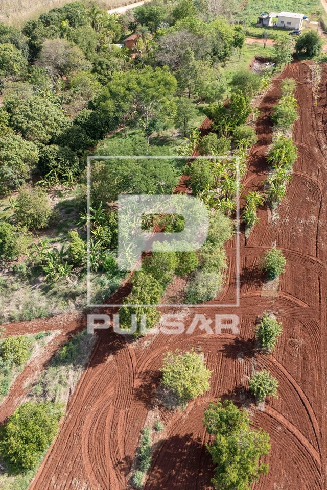 Plantação no sistema agroflorestal - Assentamento Sepé Tiaraju