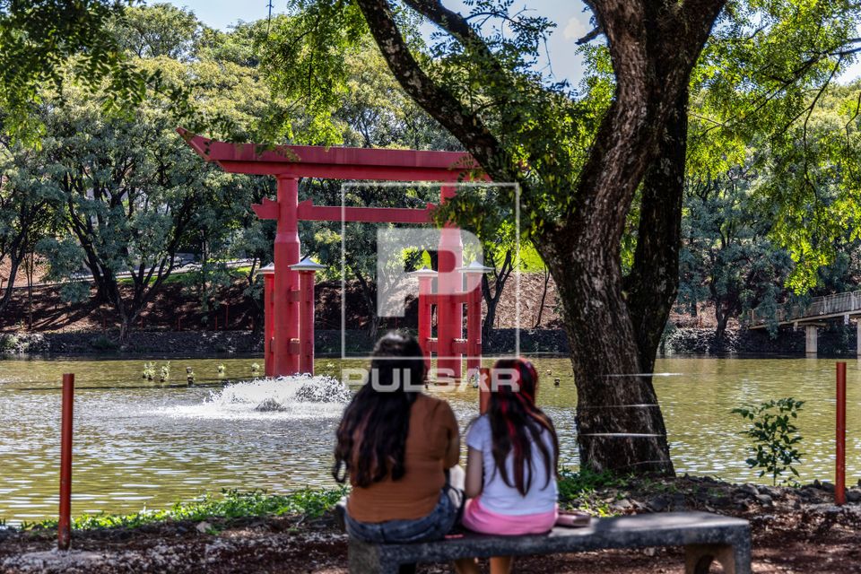 Crianças no Parque Ikeda Zerinho observando lago com tori - portal japonês 