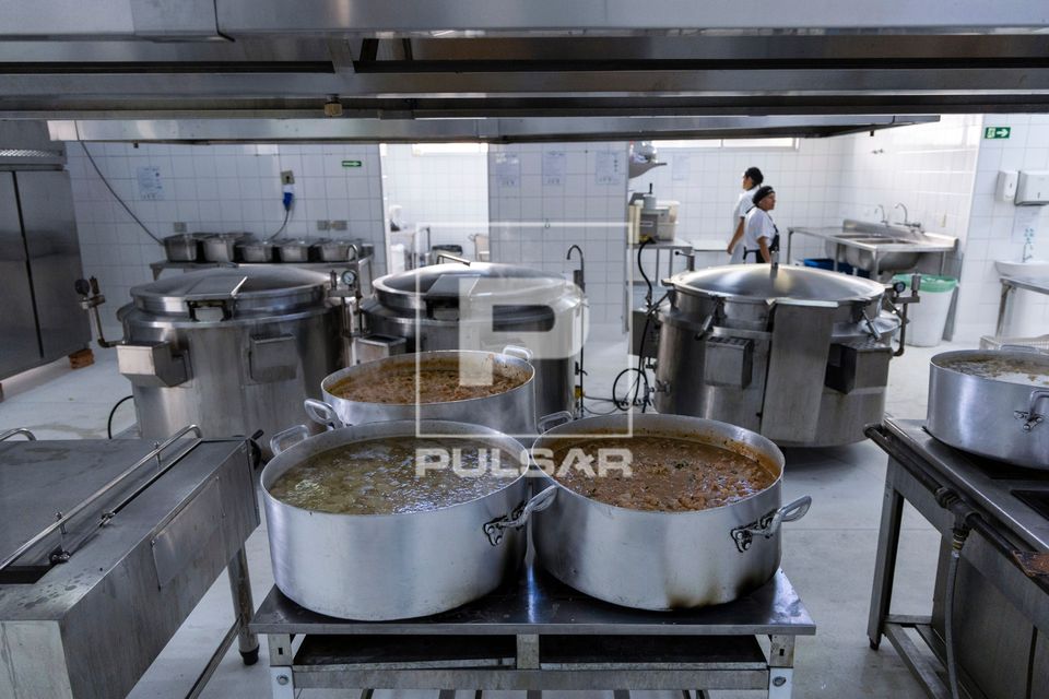 Strogonoff de frango e batatas cozinhas preparadas no restaurante de preço popular 