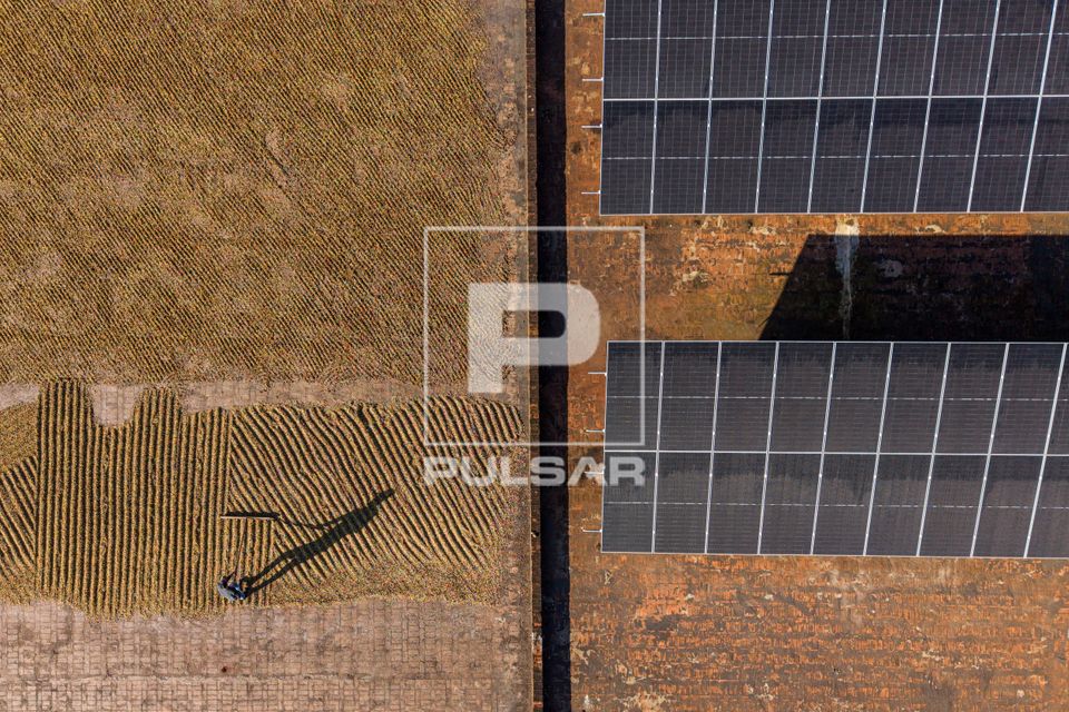 Vista de drone de trabalhador rural espalhando grãos de café em terreiro e placa solares de captação de en
