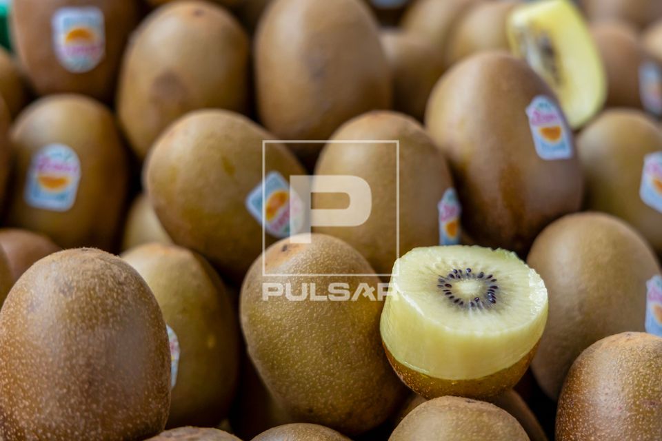 Kiwi amarelo ou dourado à venda na 22ª edição do Festival Londrina Matsuri - festa da cultura e arte japon