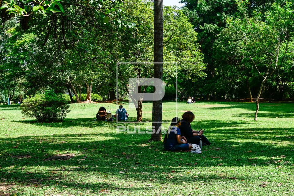 Pessoas no Parque Ibirapuera - bairro Vila Mariana