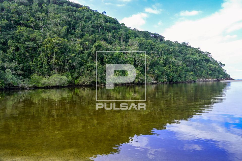 Foz do Rio Puruba