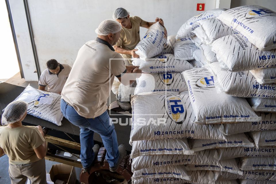 Carregamento de sacos de amendoim