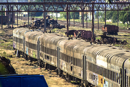 01ALF456