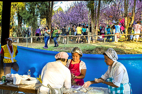 01ALF707